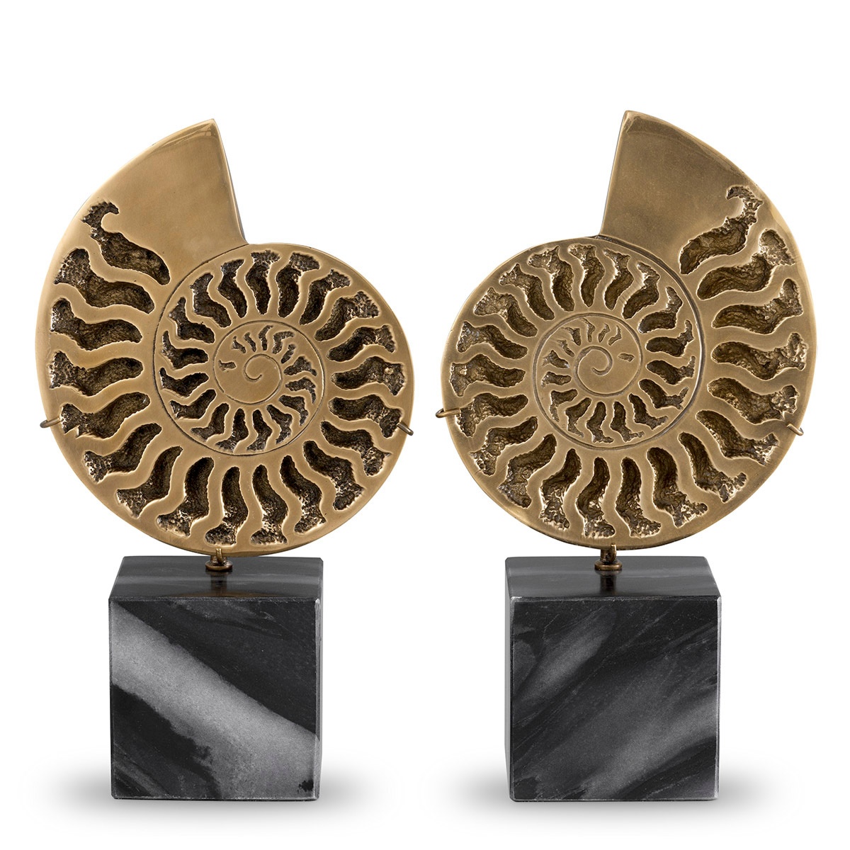Декоративный объект Ammonite, фото 1