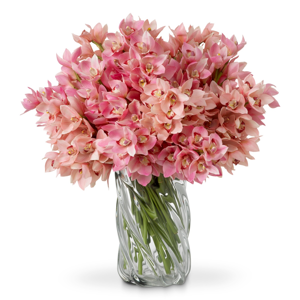 Искусственная зелень Cymbidium Orchids, фото 1