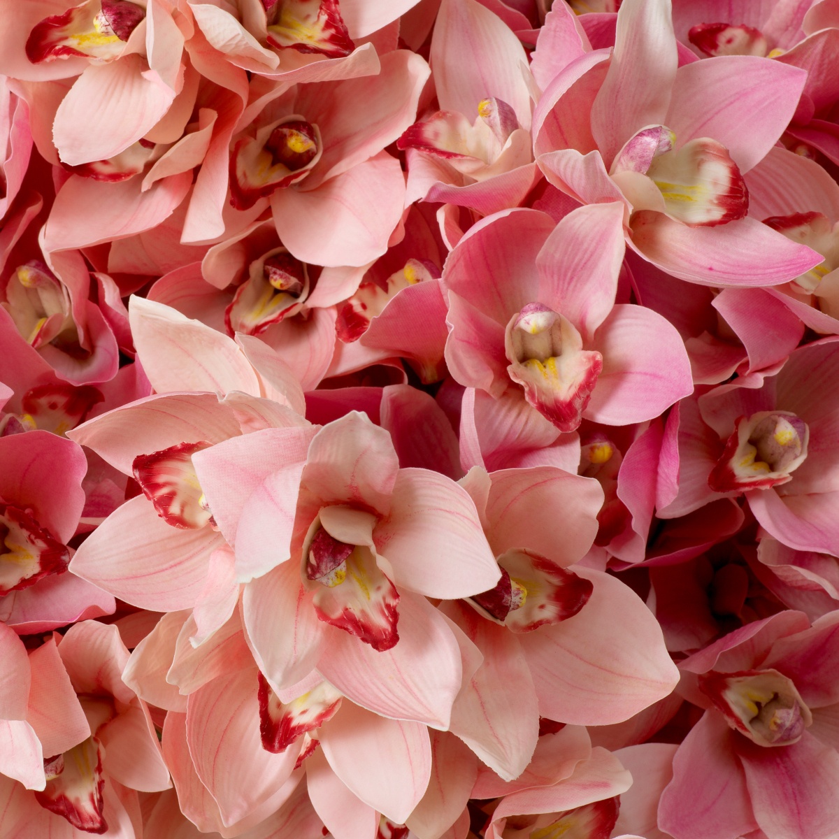 Искусственная зелень Cymbidium Orchids, фото 3