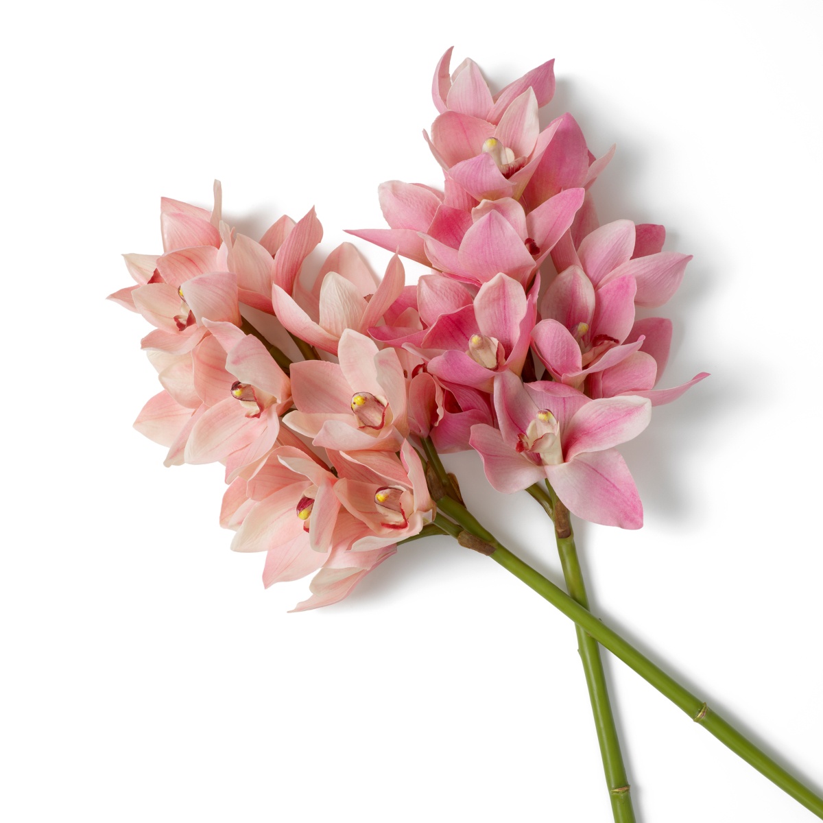 Искусственная зелень Cymbidium Orchids, фото 4