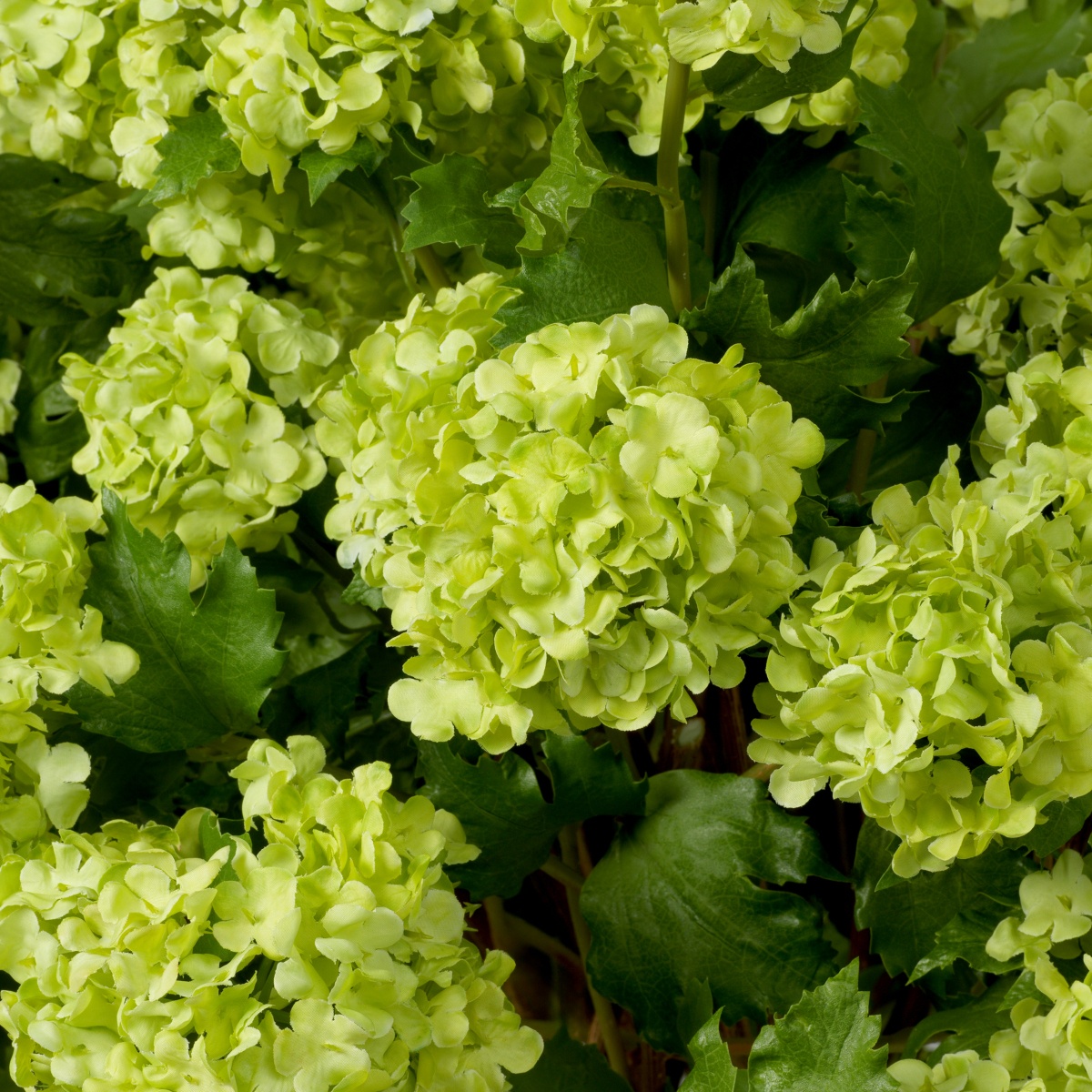 Искусственная зелень Hydrangeas, фото 3