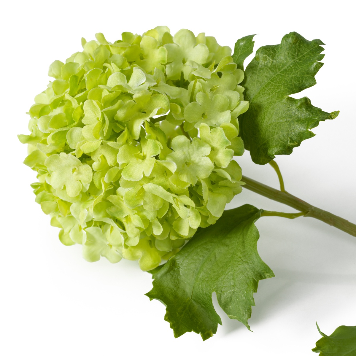 Искусственная зелень Hydrangeas, фото 5