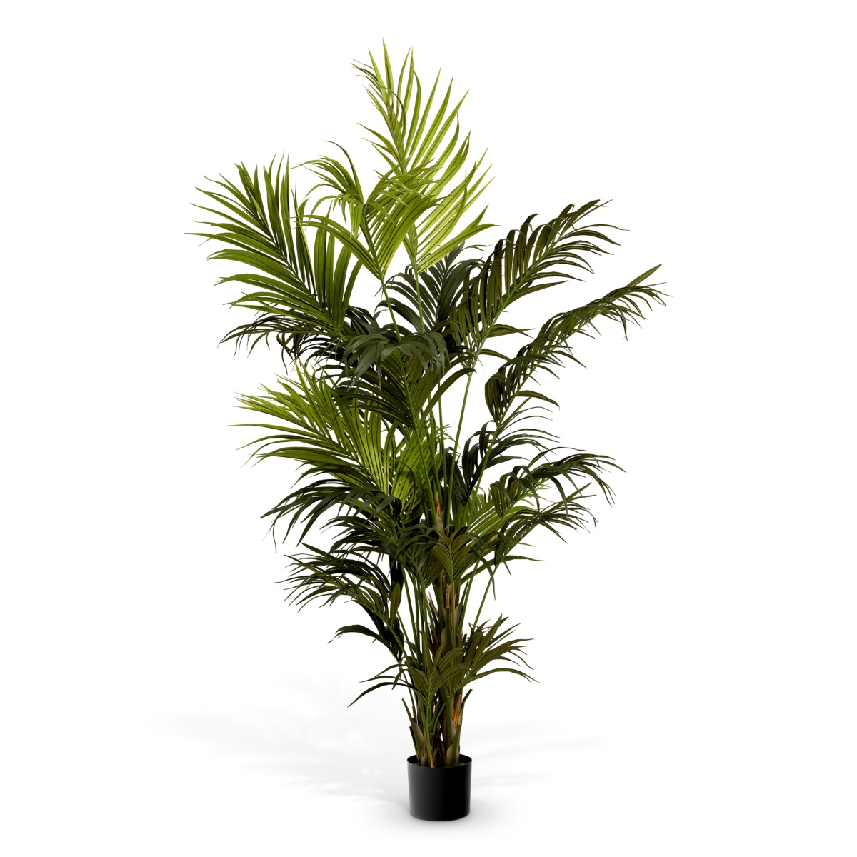 Искусственная зелень Kentia Palm, фото 1