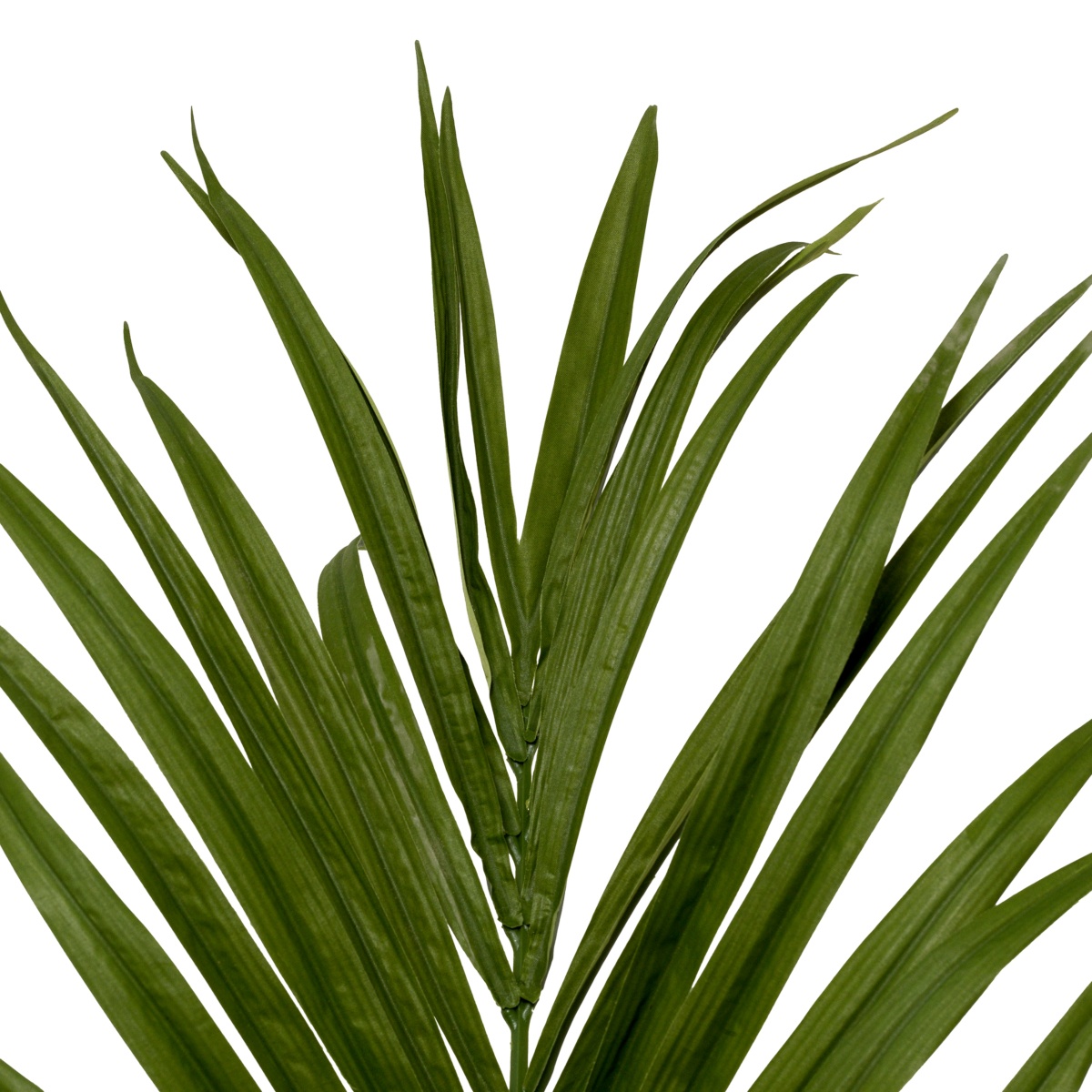 Искусственная зелень Kentia Palm, фото 3