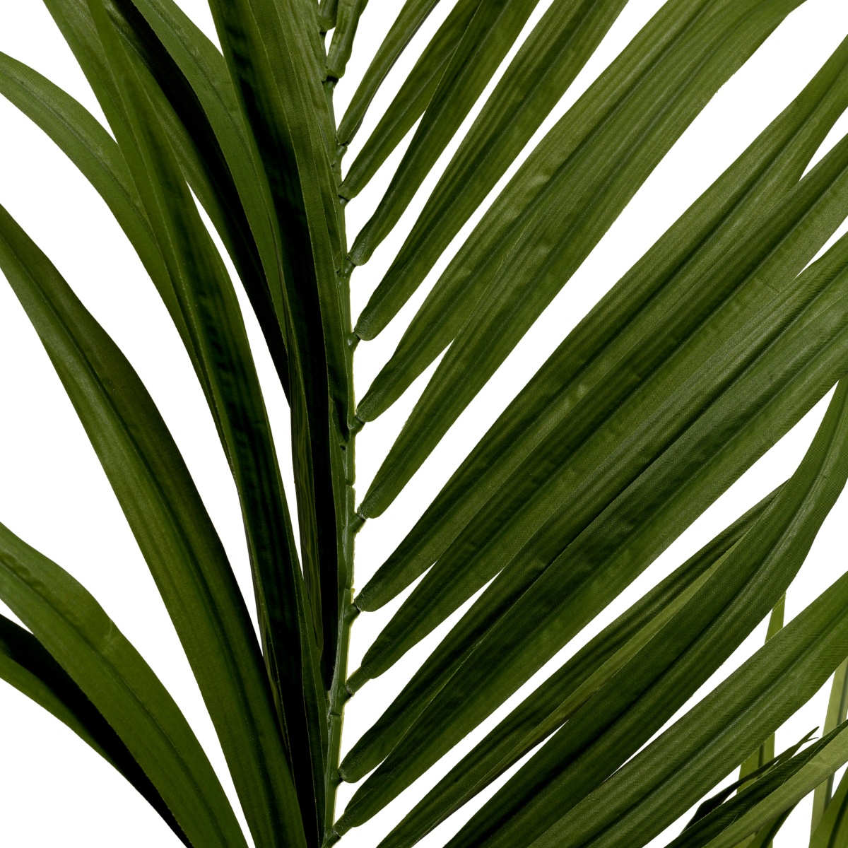 Искусственная зелень Kentia Palm, фото 4