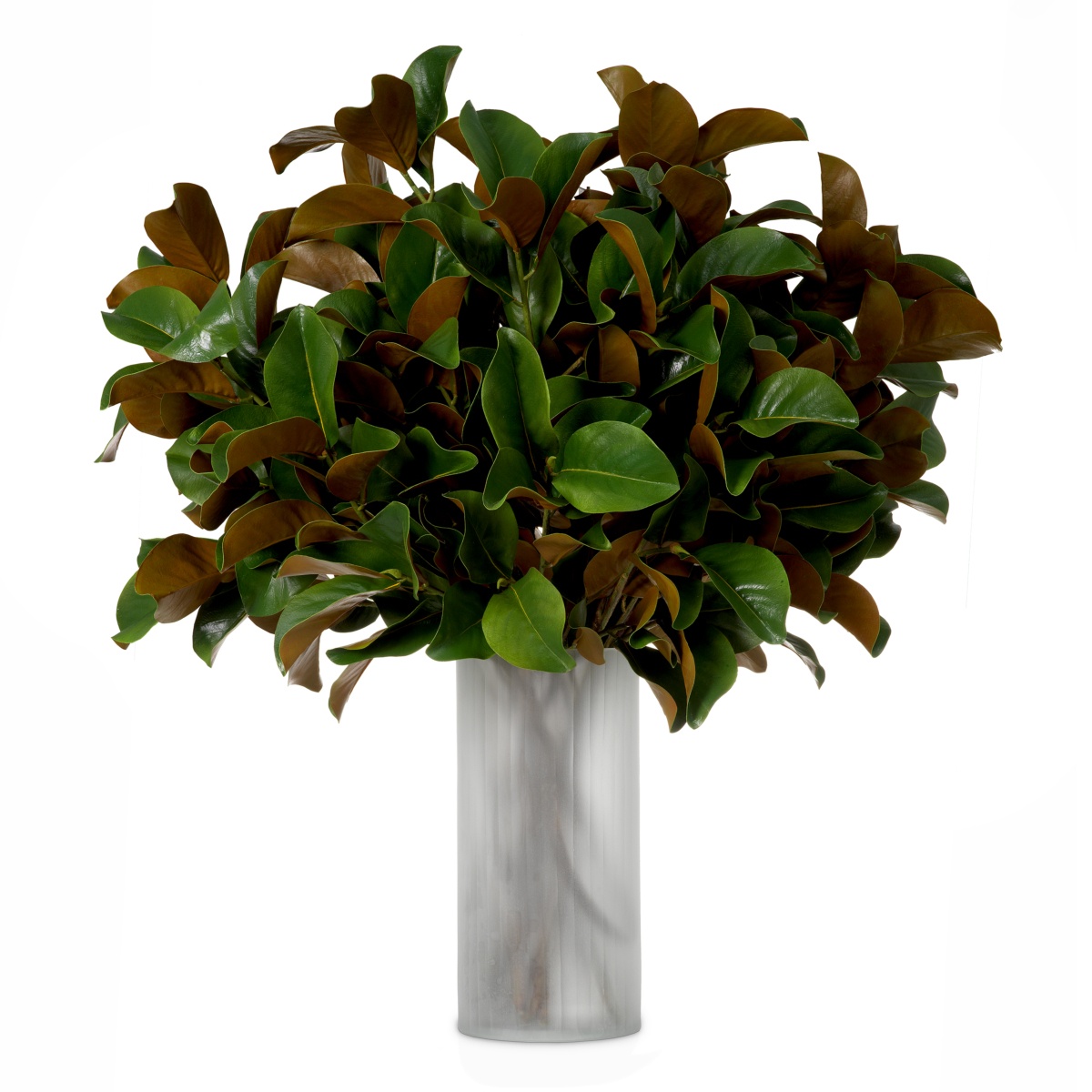 Искусственная зелень Magnolia Leaves, фото 1