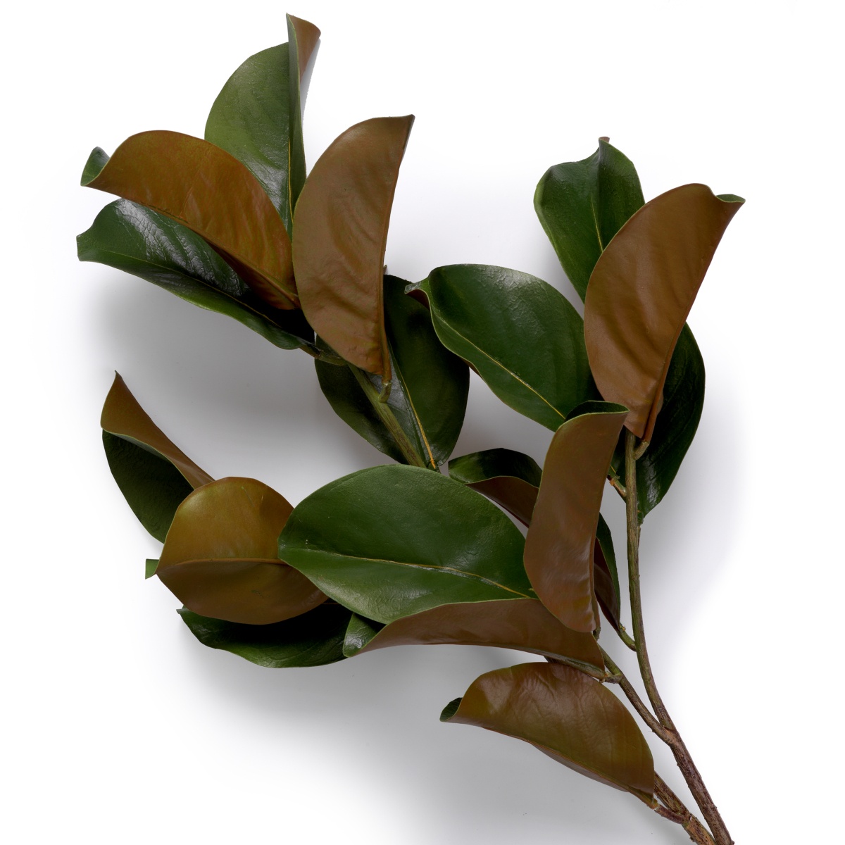 Искусственная зелень Magnolia Leaves, фото 4