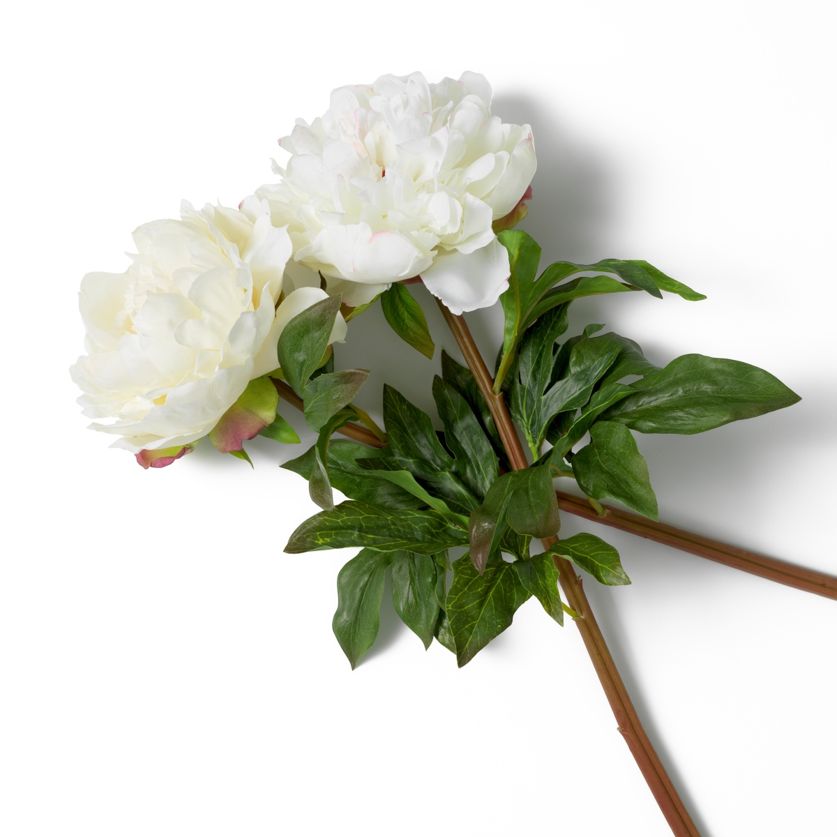 Искусственная зелень Peonies, фото 4