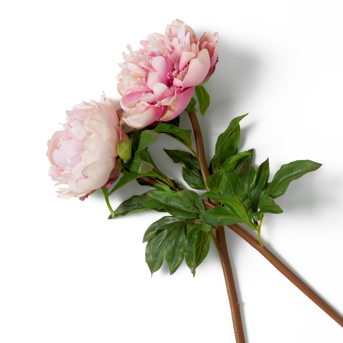Искусственная зелень Peonies, фото 4