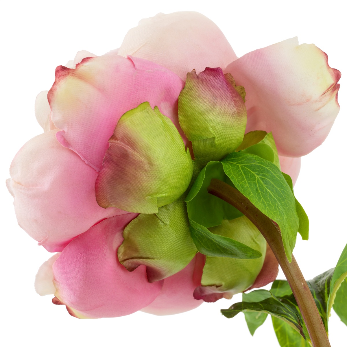 Искусственная зелень Peonies, фото 6