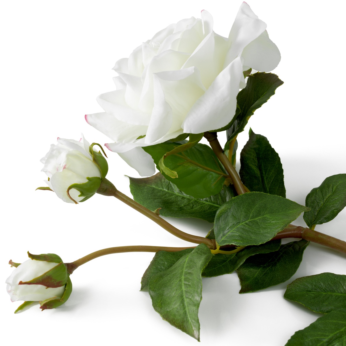 Искусственная зелень Roses, фото 5