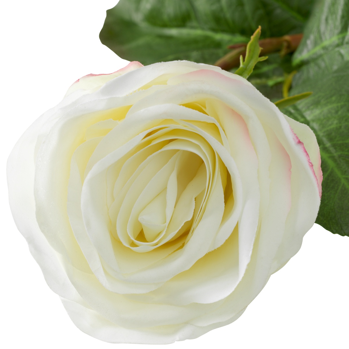 Искусственная зелень Roses, фото 6