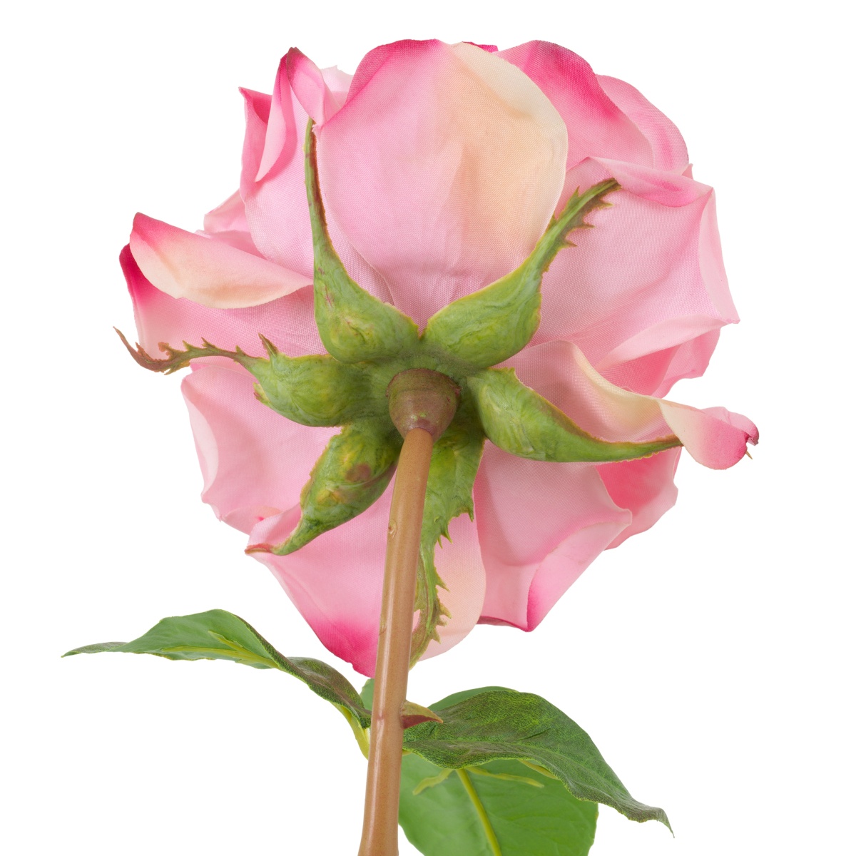 Искусственная зелень Roses, фото 6
