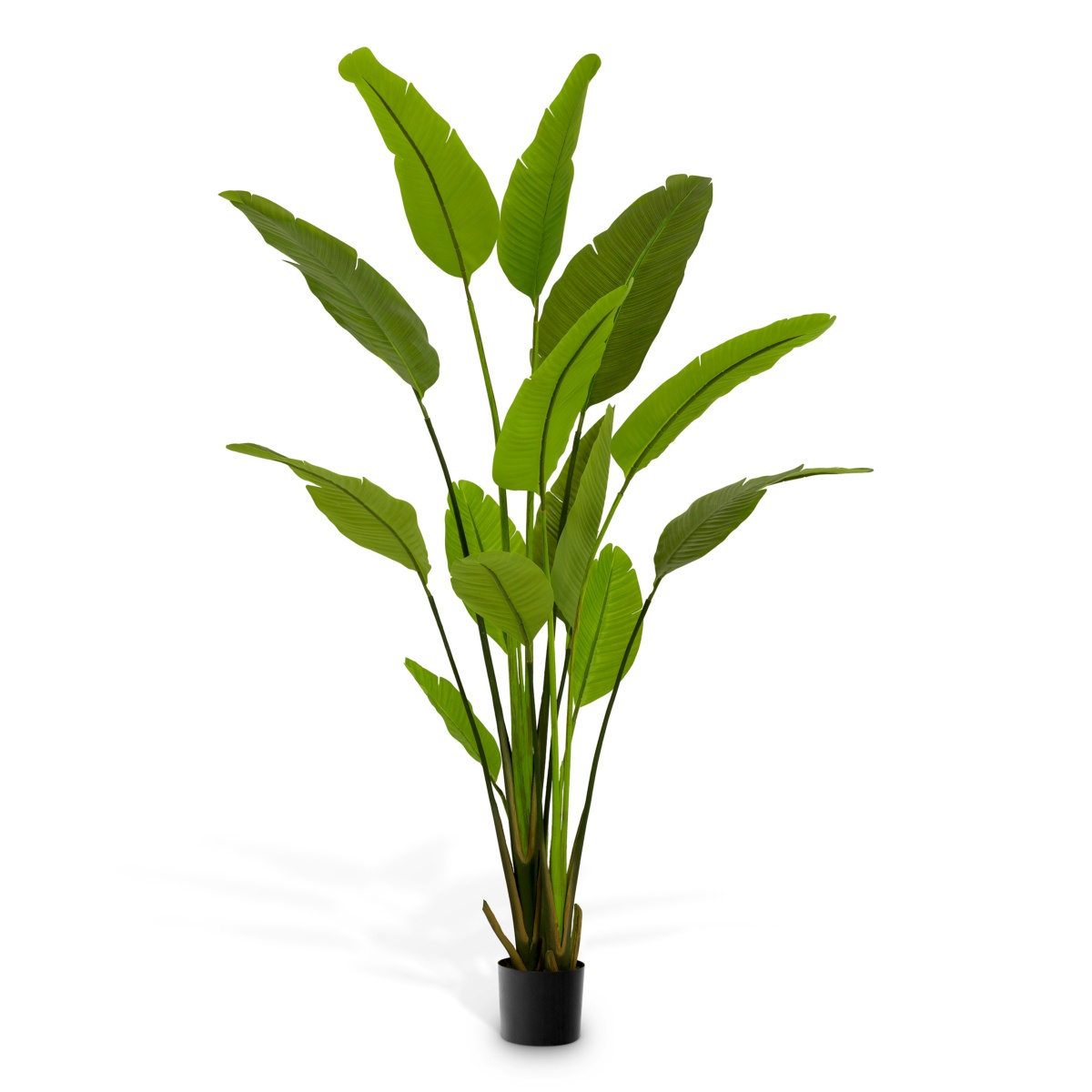 Искусственная зелень Strelitzia, фото 1