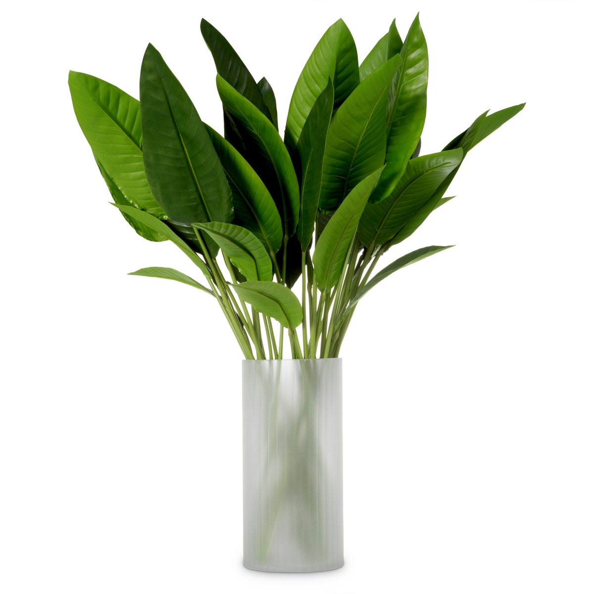 Искусственная зелень Strelitzia Leaves, фото 1