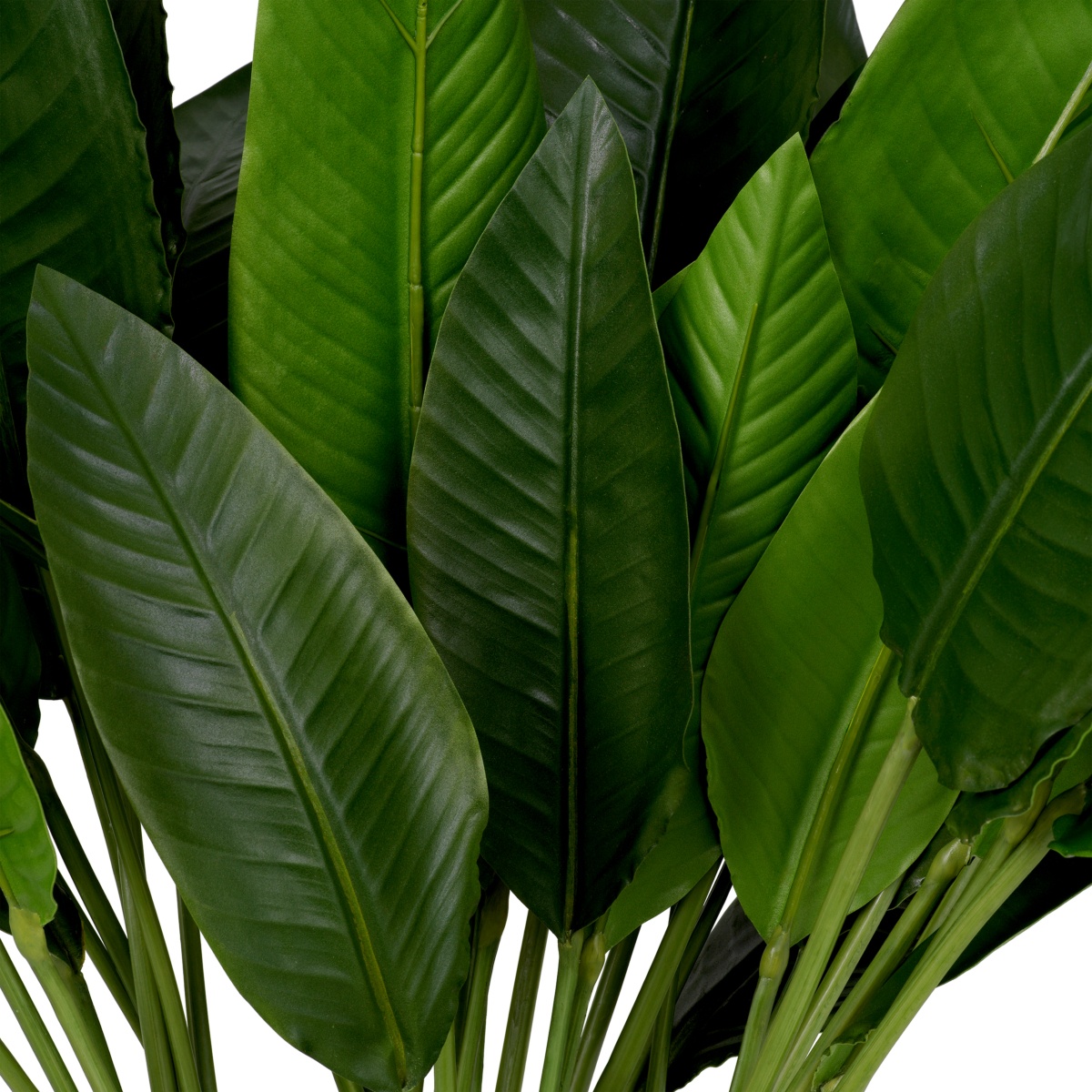Искусственная зелень Strelitzia Leaves, фото 3