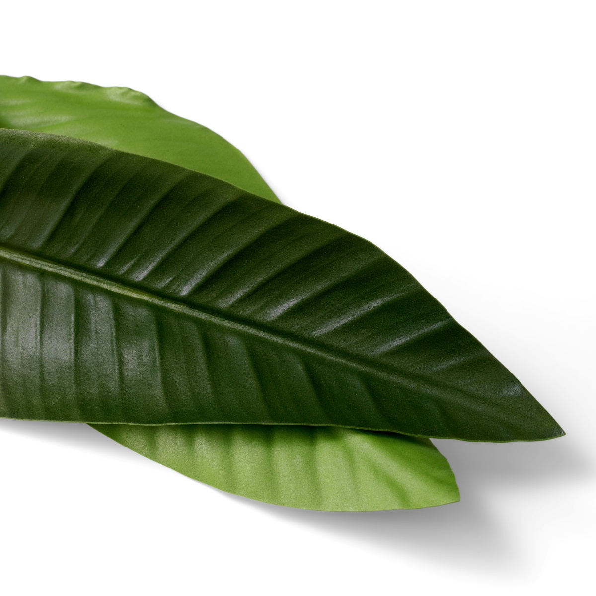 Искусственная зелень Strelitzia Leaves, фото 5