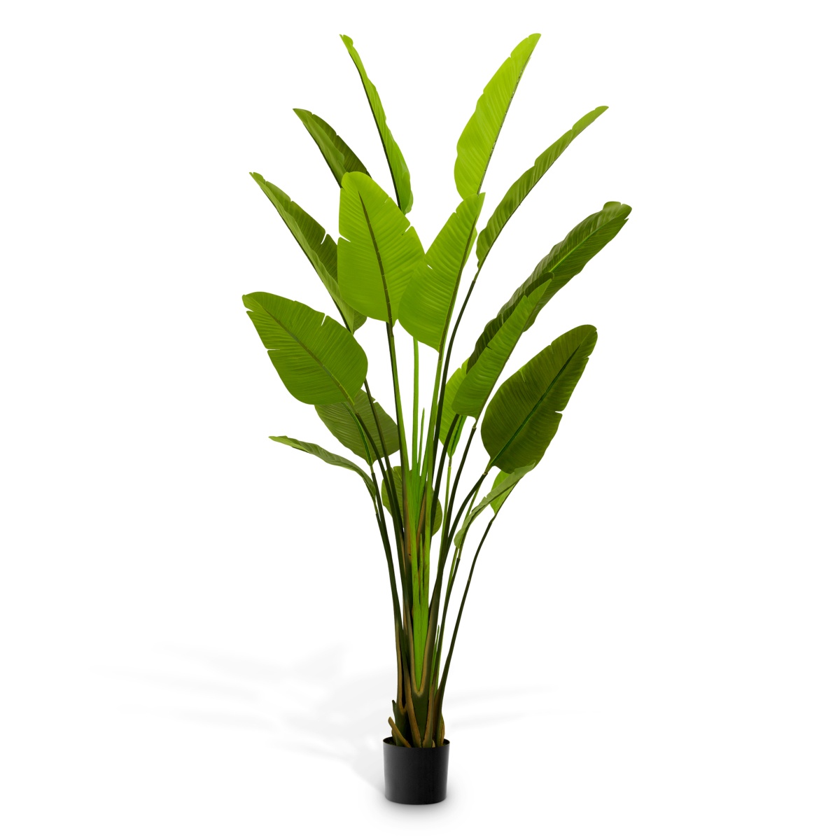Искусственная зелень Strelitzia, фото 1