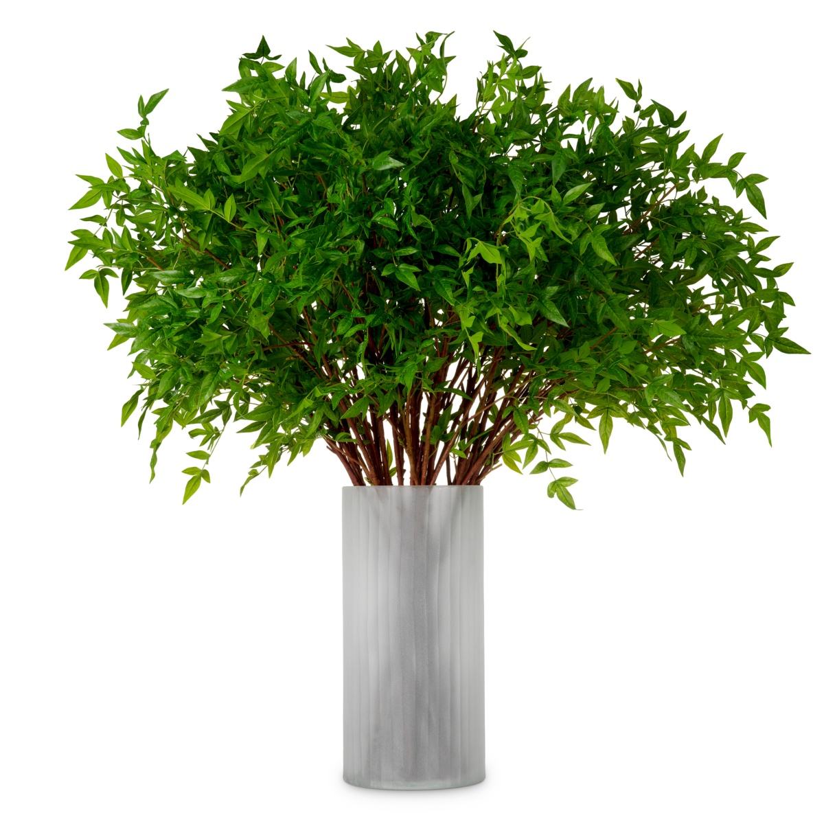 Искусственная зелень Tender Leaves, фото 1
