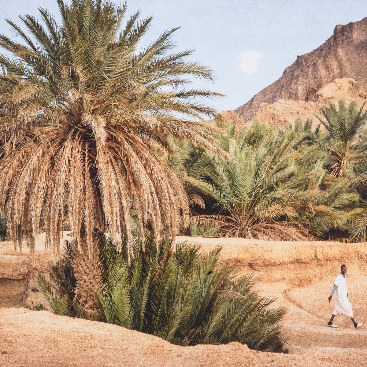 Картина Moroccan Oasis, фото 2